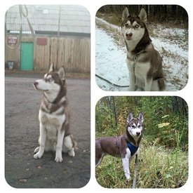 getImage (13).jpg (52.28 КБ, Просмотров: 10481) getImage (13).jpg