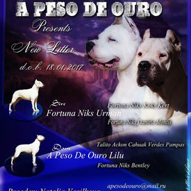 TRd_ObGFtwc.jpg (237.7 КБ, Просмотров: 1641) TRd_ObGFtwc.jpg