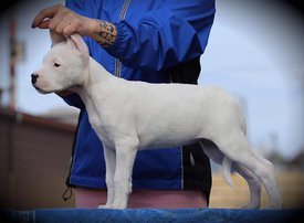 b6s7LzXOnYs.jpg (25.46 КБ, Просмотров: 1639) b6s7LzXOnYs.jpg