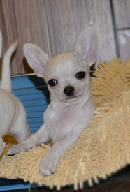 042.jpg (73.81 КБ, Просмотров: 7007) 042.jpg