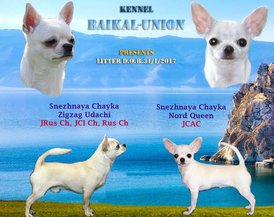 17757539_1443473479038357_1871199156085429488_n.jpg (122.78 КБ, Просмотров: 7007) 17757539_1443473479038357_1871199156085429488_n.jpg