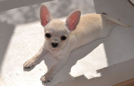 с2форум.jpg (68.29 КБ, Просмотров: 6771) с2форум.jpg