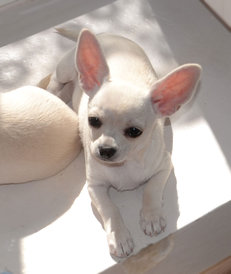 с1.jpg (65.25 КБ, Просмотров: 6955) с1.jpg