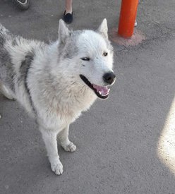 image-0-02-05-a1b269e26a68c2dd01a1b4cdc379b0e21e69c0ad46af4904057fc53f8214a43d-V.jpg (66.48 КБ, Просмотров: 2084) image-0-02-05-a1b269e26a68c2dd01a1b4cdc379b0e21e69c0ad46af4904057fc53f8214a43d-V.jpg