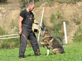 бори.jpg (99.67 КБ, Просмотров: 2911) бори.jpg