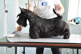 Уменьшено для форума.jpg (86.35 КБ, Просмотров: 2264) Уменьшено для форума.jpg