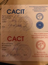 hYSuLPqQTQc.jpg (131.45 КБ, Просмотров: 6409) hYSuLPqQTQc.jpg