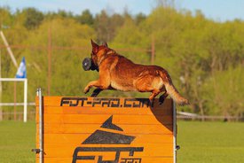 Qwog1_pux7k.jpg (134.82 КБ, Просмотров: 6409) Qwog1_pux7k.jpg