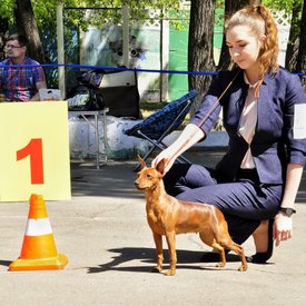 P3MPUSoH-xc.jpg (142.72 КБ, Просмотров: 13091) P3MPUSoH-xc.jpg