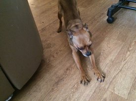 image.jpg (171.53 КБ, Просмотров: 1590) image.jpg