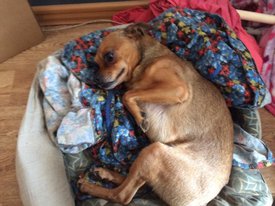 image (1).jpg (174.54 КБ, Просмотров: 1590) image (1).jpg