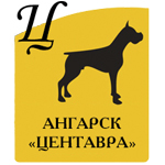 Аватара